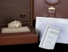 Rolex Day-Date 36 President Bracelet Champagne Diamonds Dial - Rolex  18238